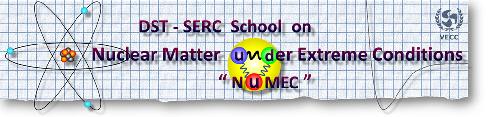 SERC school on Nuclear Physics 2013
