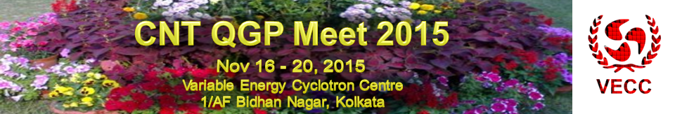 CNT QGP Meet 2015