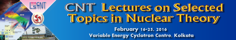 CNT Lectures on Selected Topics in Nuclear Theory